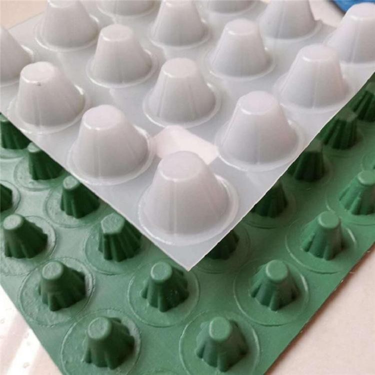 隧(suì)道排水闆(pan)