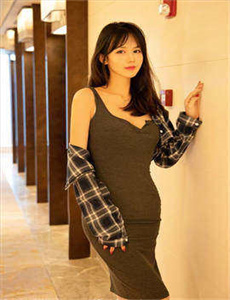 新灵犬莱西 2005