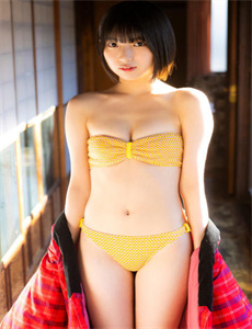 红楼春上春快播