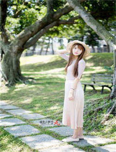 苍井宫