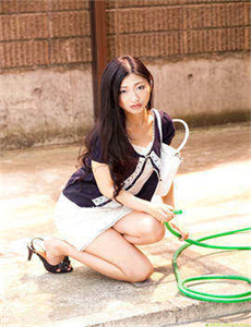 李丽珍电影