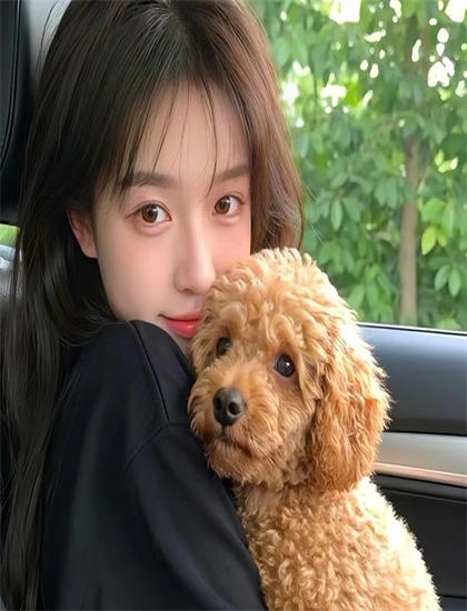 颠覆性的美女总裁有什么特别之处？独特看点与特色解析